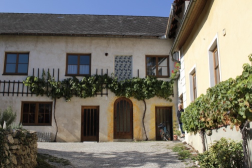 a house above the winery
