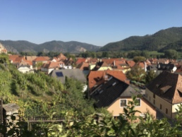view of Weißenkirchen in der Wachau from the winery